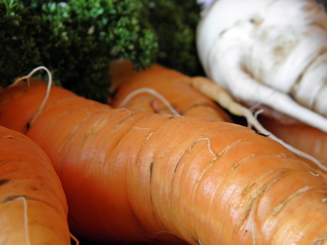 胡萝卜怎么种植比较好 胡萝卜水培方法和土培方法